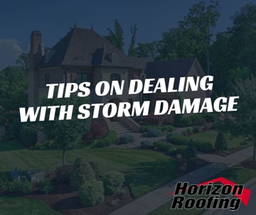 House with landscape