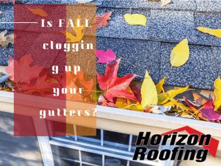 Leaves in the gutter